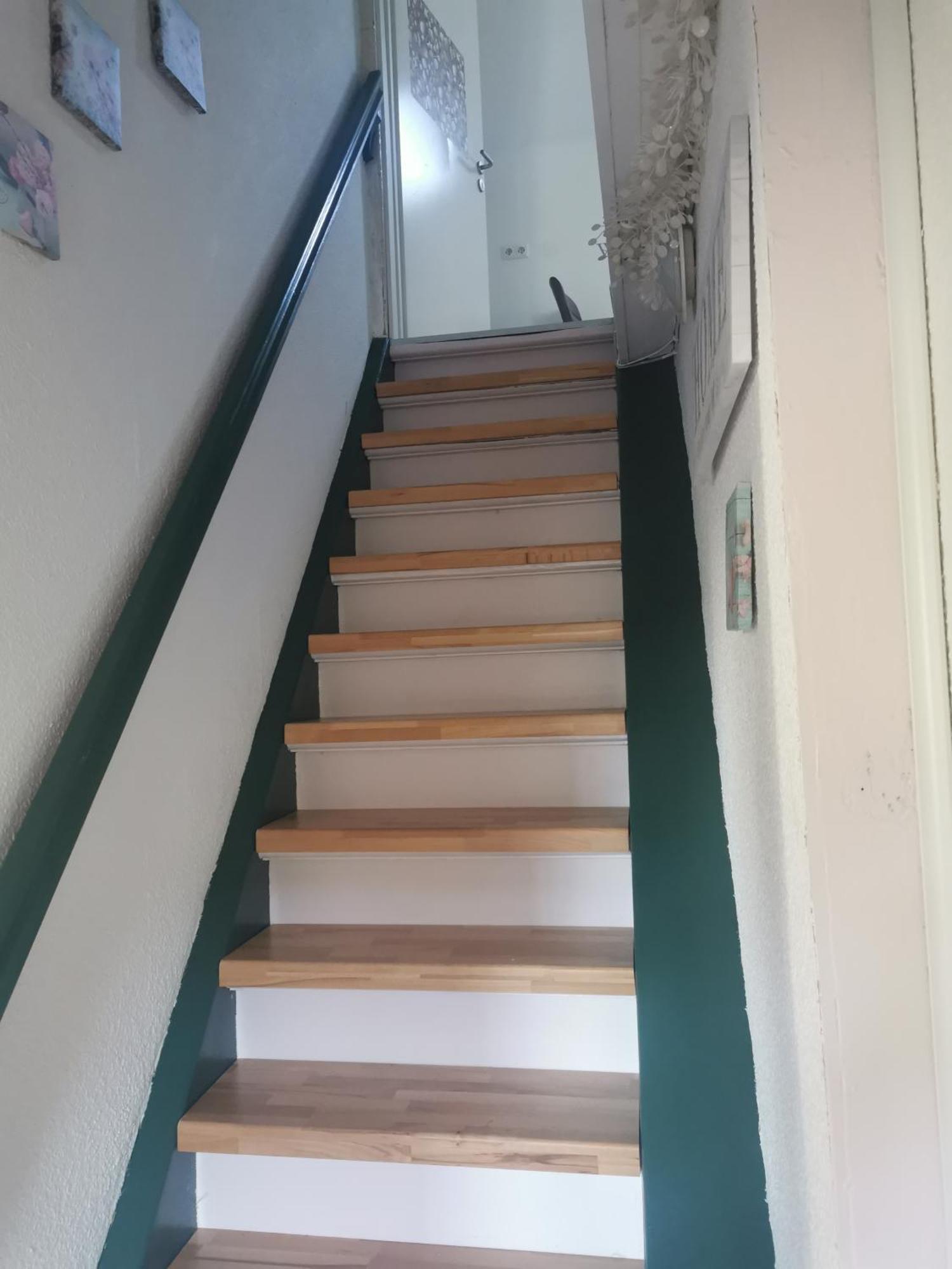 Ferienwohnung-Dorothe Rheinau Extérieur photo