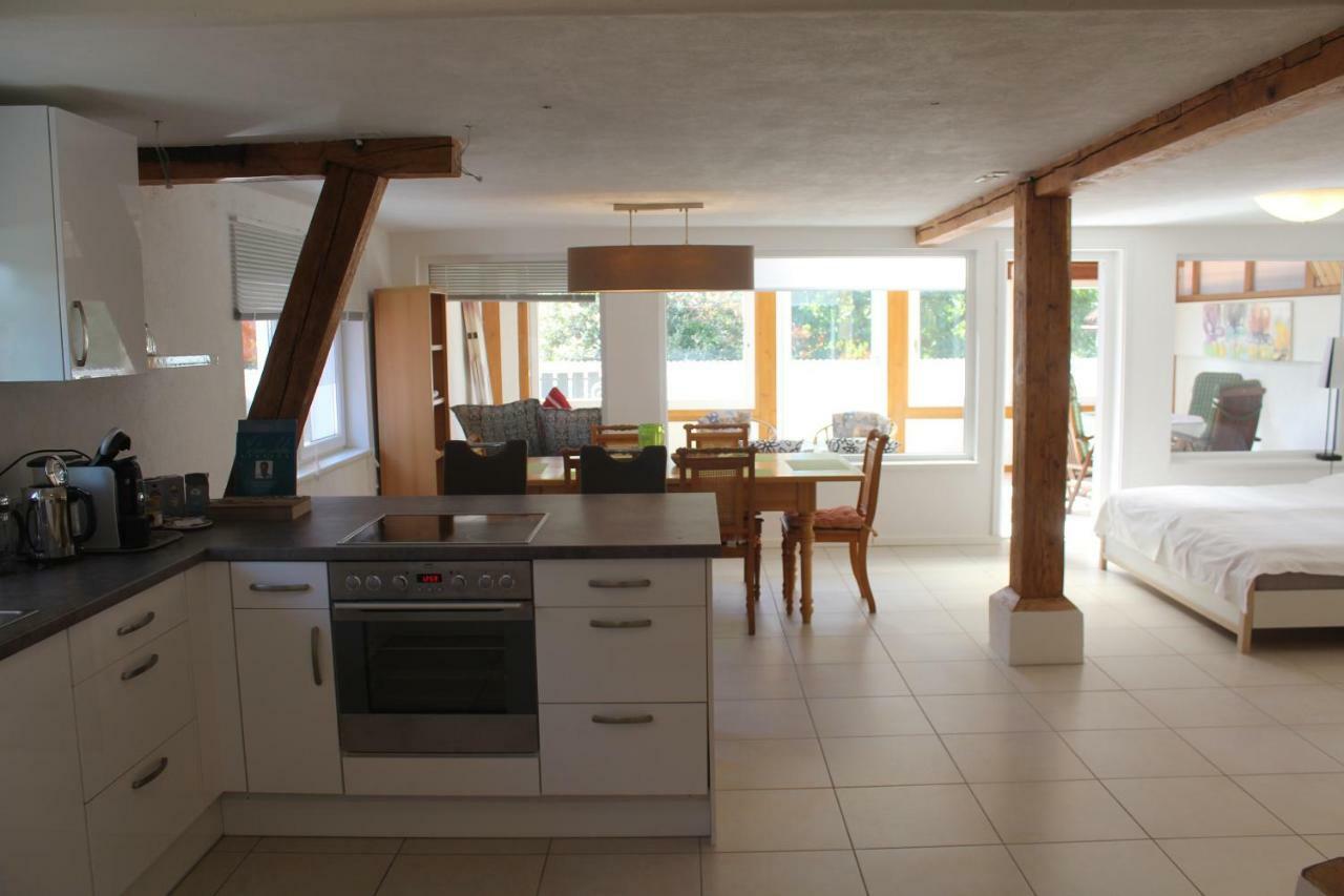 Ferienwohnung-Dorothe Rheinau Extérieur photo