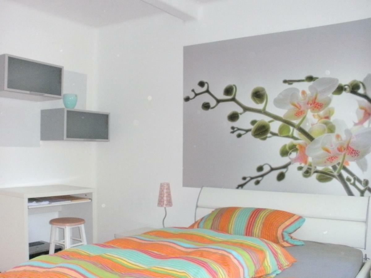 Ferienwohnung-Dorothe Rheinau Extérieur photo