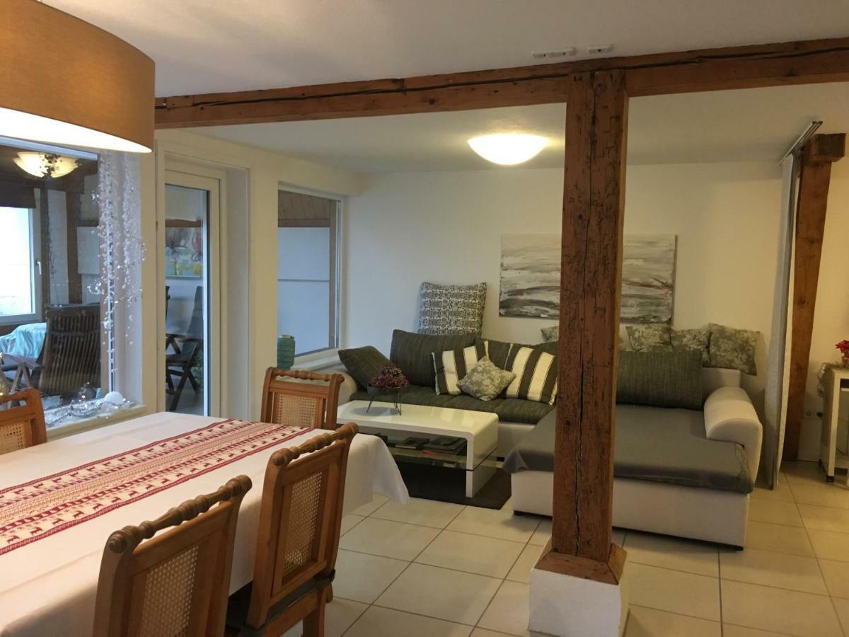 Ferienwohnung-Dorothe Rheinau Extérieur photo